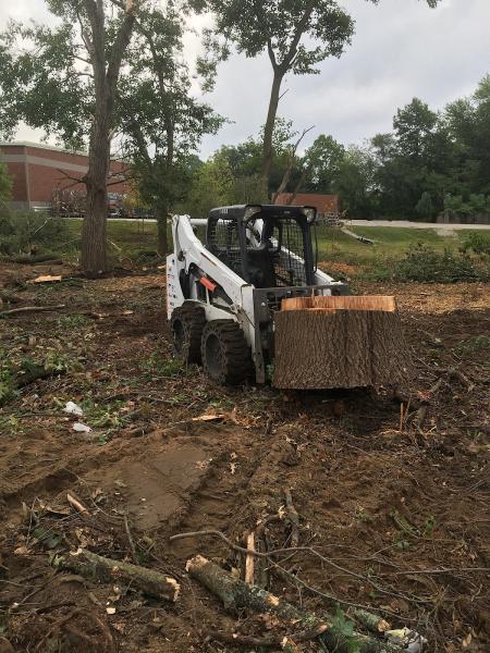 Eliseo's Tree Service