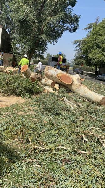 H United Tree Service