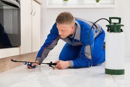 Deer Park Pest Control Pros