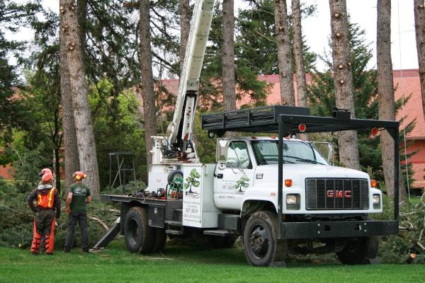 Bozeman Arborcare Tree Service
