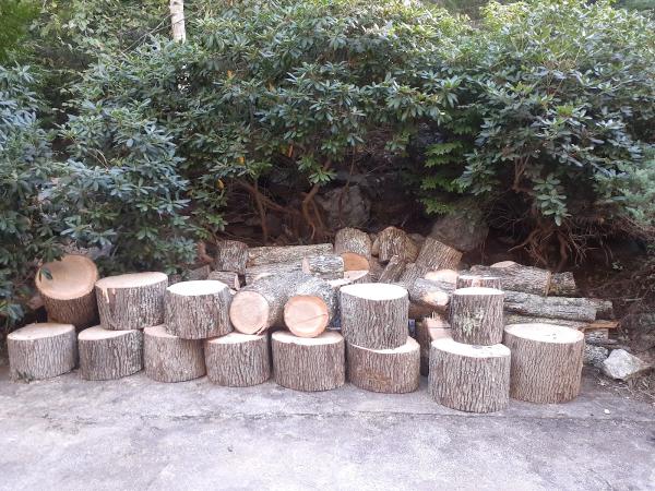 Macomber Tree and Garden LLC