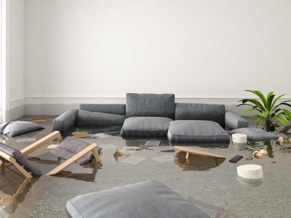 Metro Water Damage Restoration Rochester