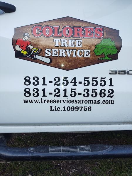 Colores Tree Service