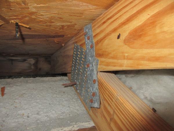 Cape Coral Inspection