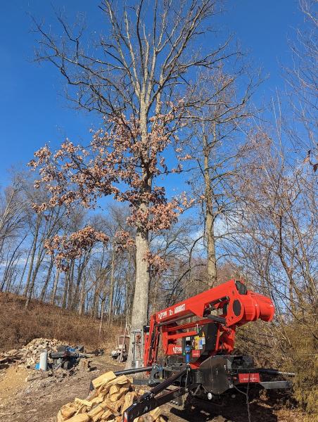 Artisan Arborist Tree Care