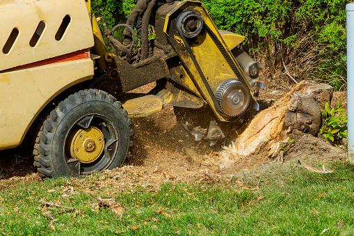 Elkhart Tree Service & Removal