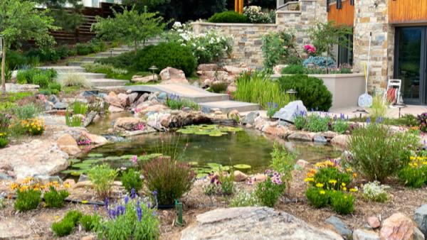 Colorado Pond Pros