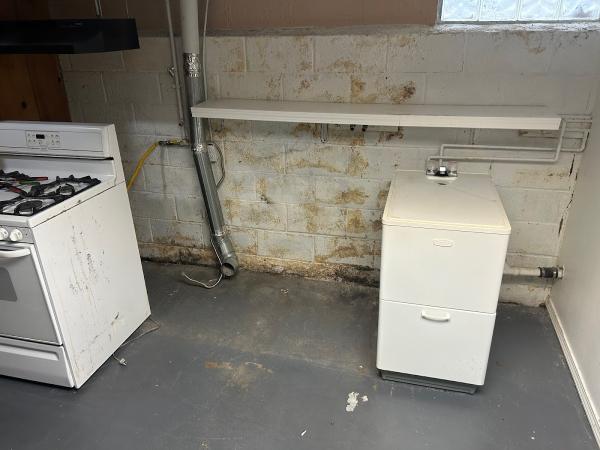 Comprehensive Mold Management