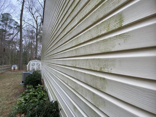Evergreen Cleaning