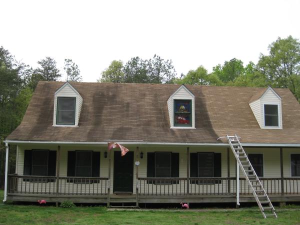 Evergreen Cleaning