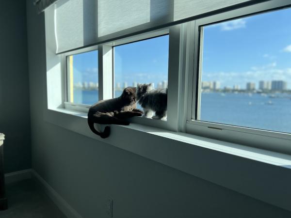 Sabrina's Atlantic Window Cleaning and Pressure Cleaning