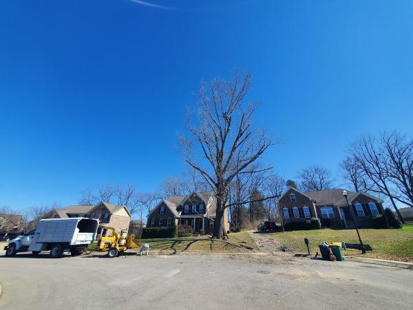TN Tree Preservation