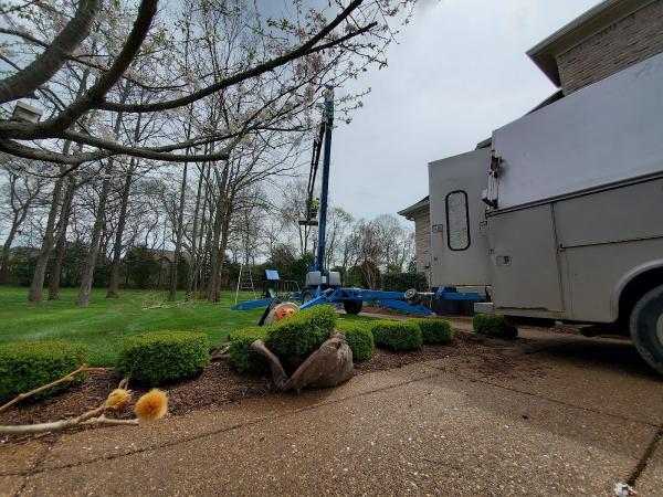 TN Tree Preservation