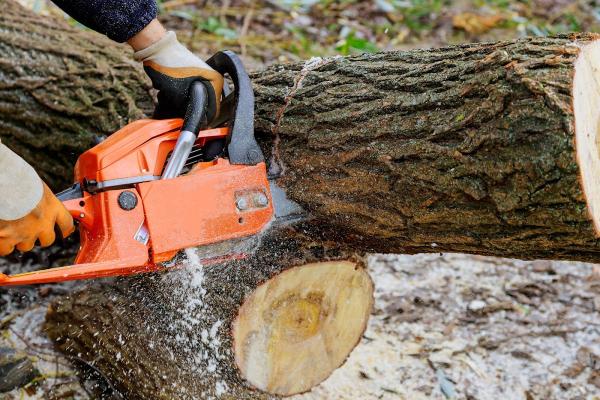 BP Tree Services LLC