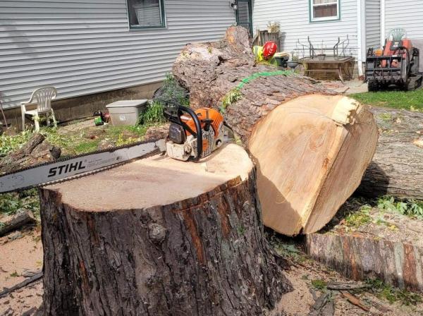 BP Tree Services LLC
