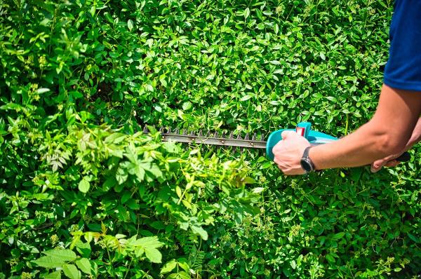 BP Tree Services LLC