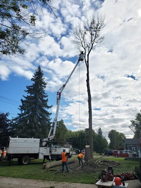 Hoppy's Tree Service