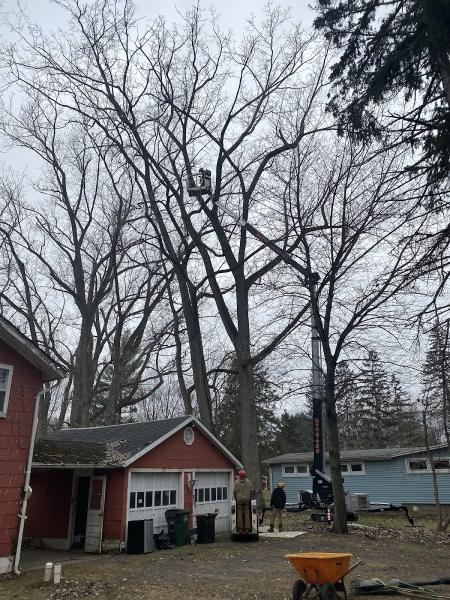 Hoppy's Tree Service