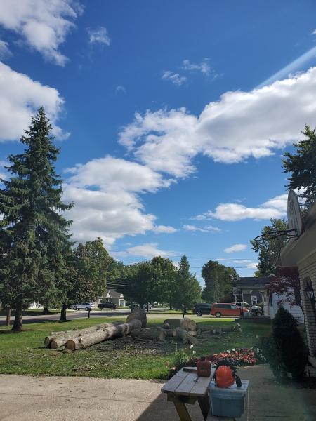 Hoppy's Tree Service