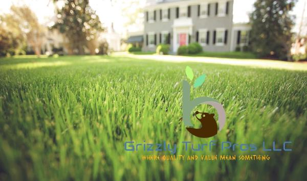 Grizzly Turf Pros LLC