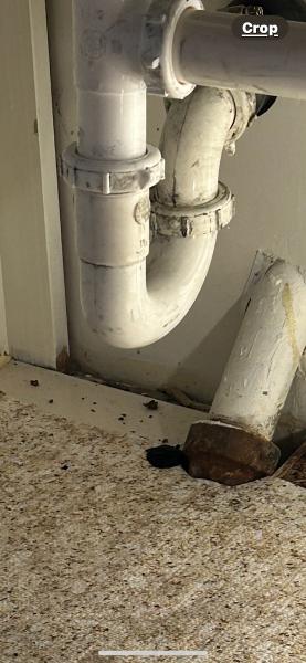 Joe's Drain Cleaning