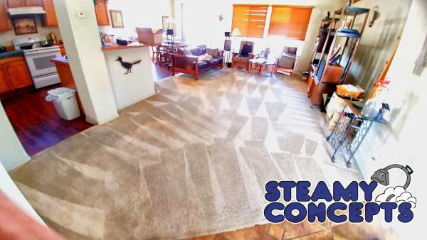 Carpet Cleaning Pros Phoenix