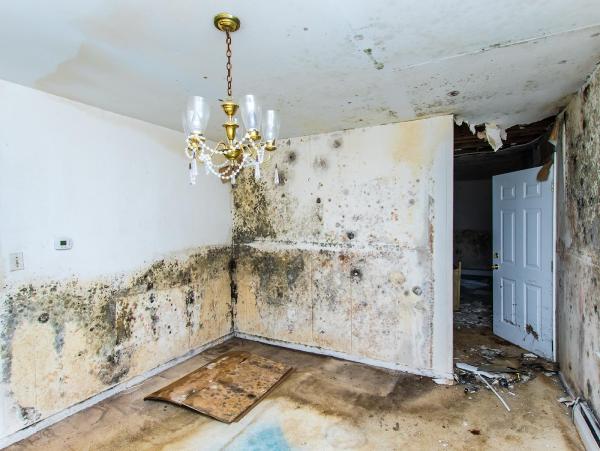 Onsite Pro Restoration