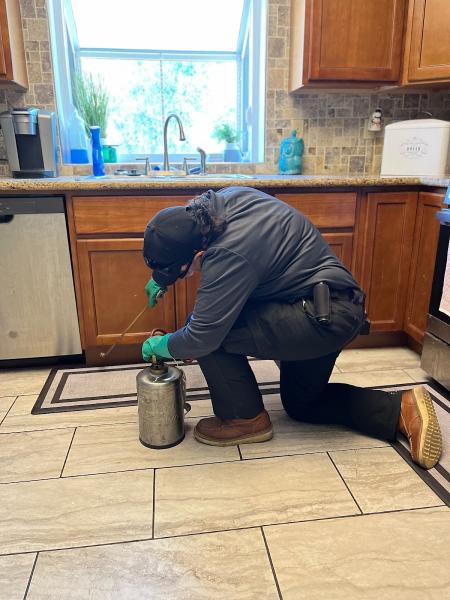 Ontiveros Pest Solution
