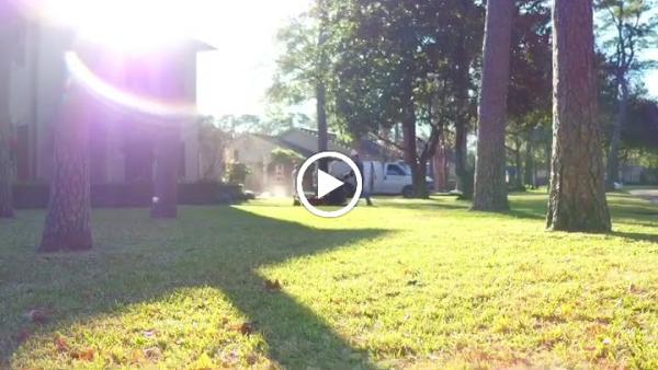 Fermin Lawn Maintenance