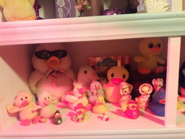 Dirty Duck Cleaning