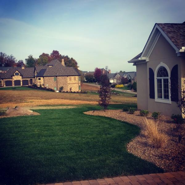 Carex Design Group