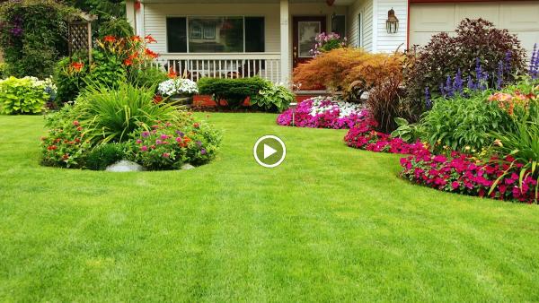 Love For Lawns Landscaping