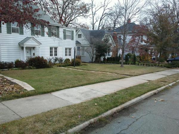 Phoenix Lawn Service