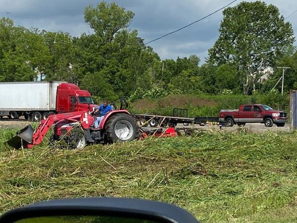 Despain Lawn Care and Bushhogging