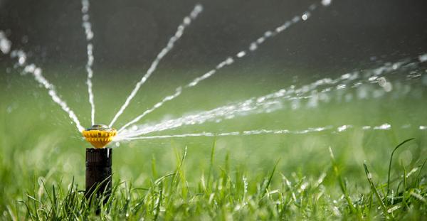 T&C Outdoor Specialists