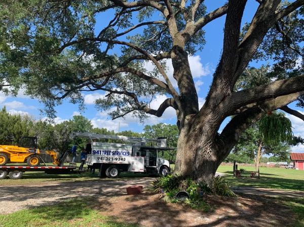 941 Tree Services LLC