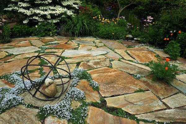 Fivestar Landscape