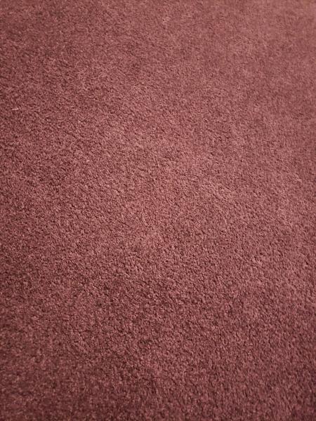 Sky Rise Carpet Cleaning