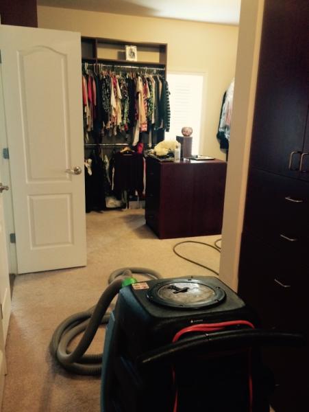 Hippo Carpet Cleaning Ellicott City