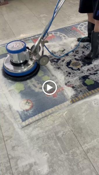 Oriental Rug Care