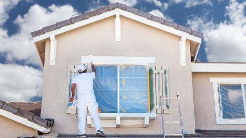Bays Painting