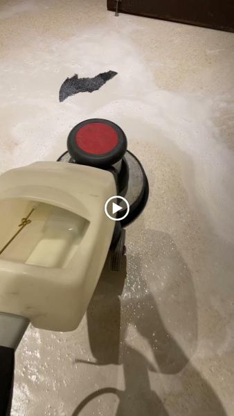 Wise Pro Cleaning
