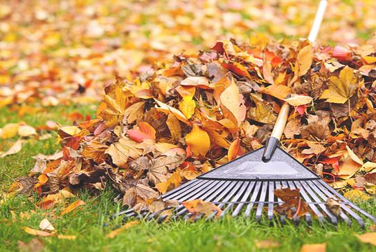 Turn-a-Leaf Lawn & Landscape Llc