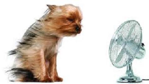 All Seasons Heating & Cooling