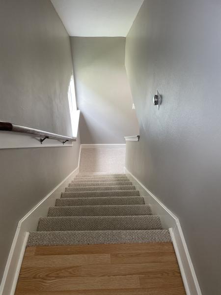 AAA Carpet Repair
