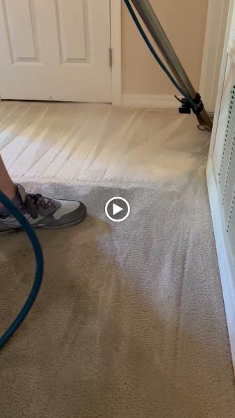 Classic Carpet Cleaning