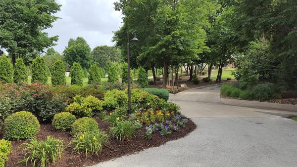 Comprehensive Botanical Services
