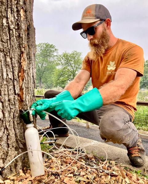 Scenic City Arborists