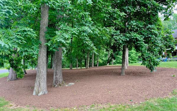 VP Lawn and Landscape