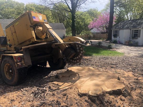 Moler Stump Grinding and Landscaping